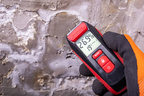 Best Mold Remediation for Specific Building Types in Derby, KS