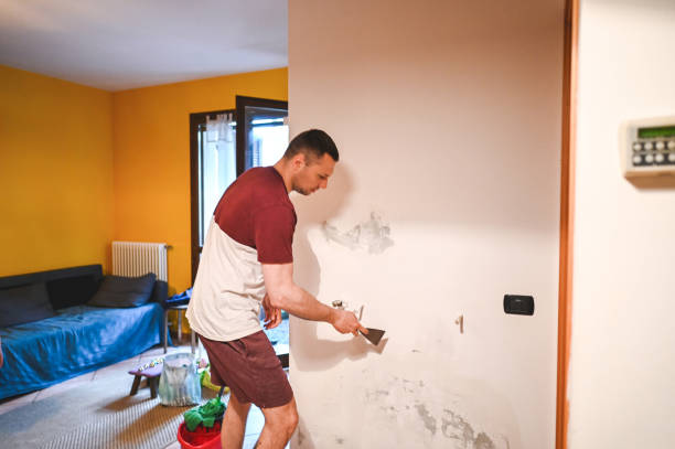 Best Residential Mold Remediation in Derby, KS